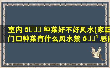 室内 🐒 种菜好不好风水(家正门口种菜有什么风水禁 🌹 忌)